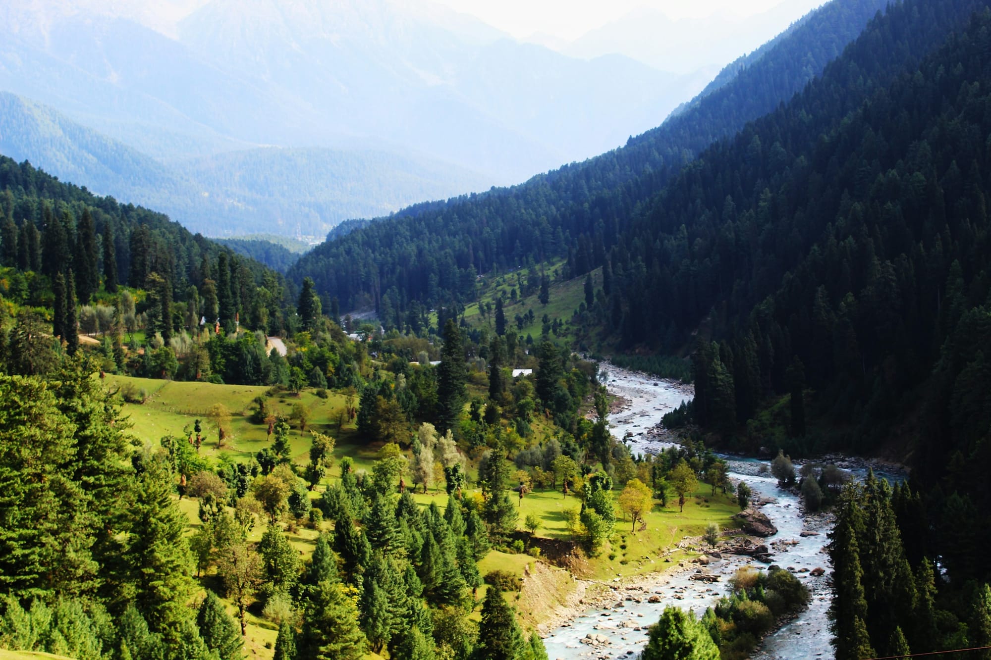 The Lidder river winding through pine forest and green meadows in Pahalgam valley
