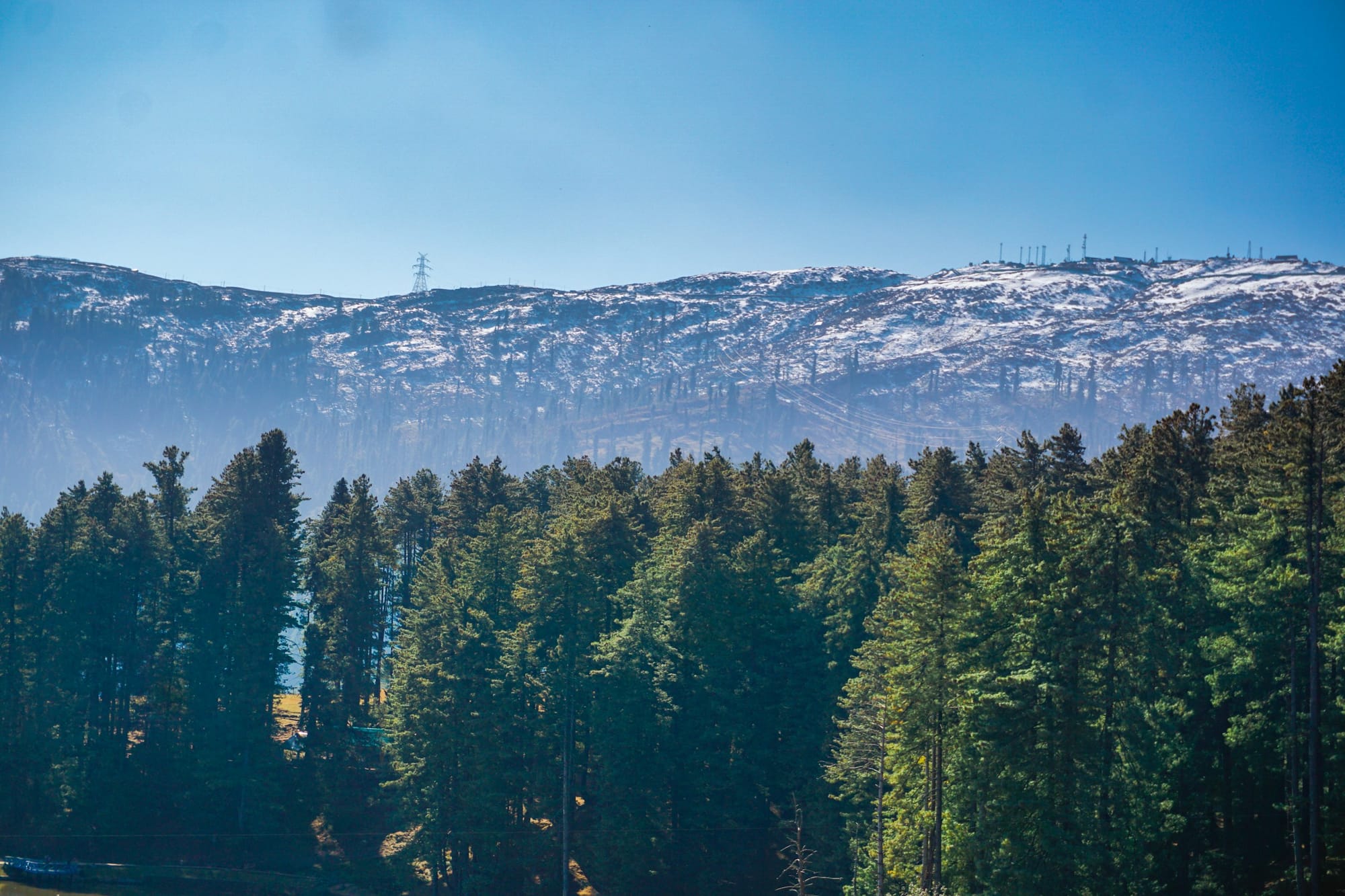 Dense deodar forest in front of snow-dusted ridges at Patnitop